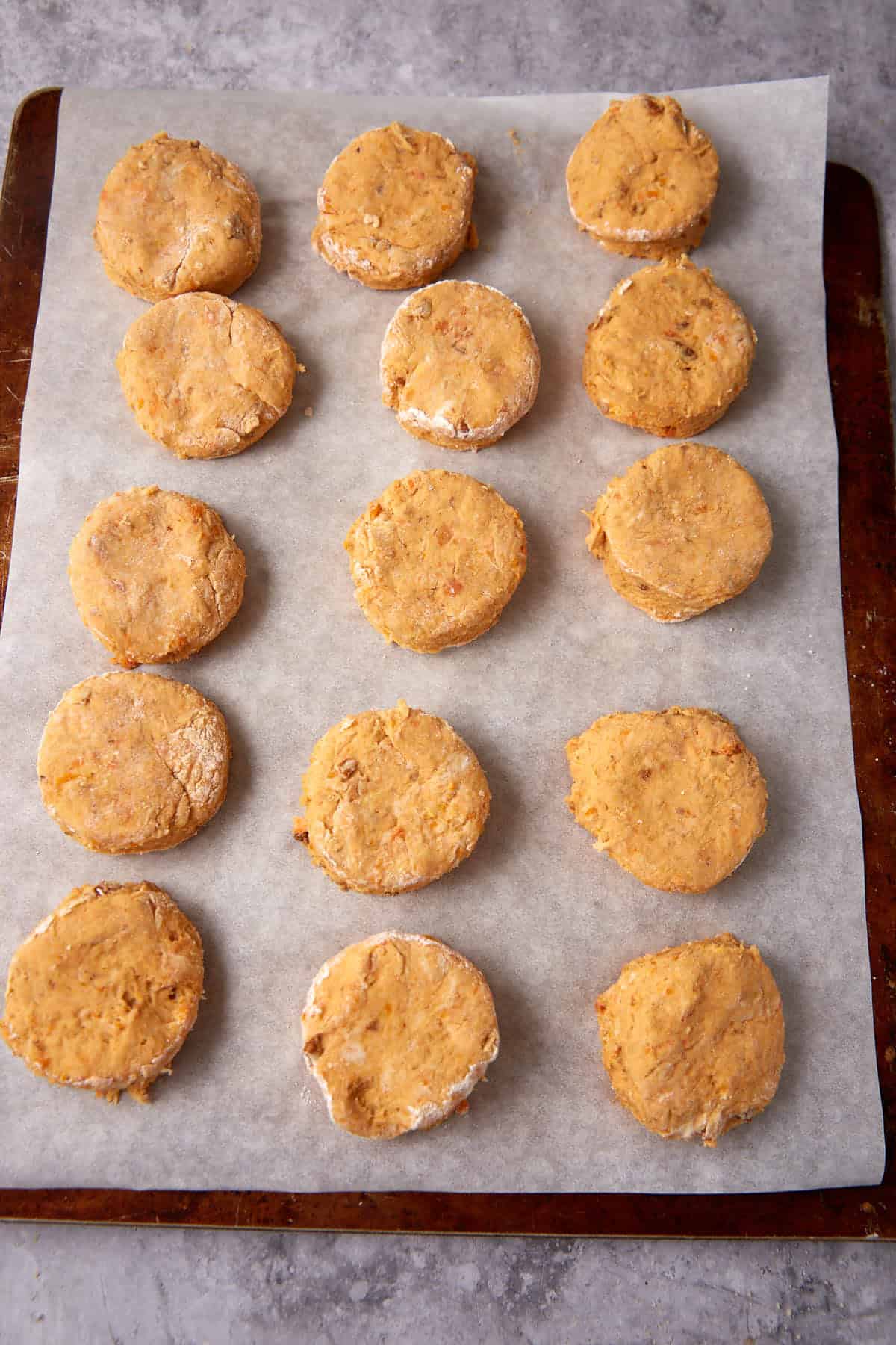 Unbaked, round orange biscuits—like those in Apple Cobbler with Sweet Potato Biscuits—are arranged in rows on a parchment-lined baking sheet, ready to be baked. The surface is lightly floured and the background is a gray countertop.