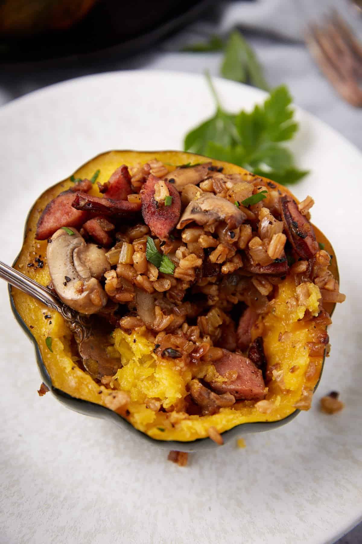 farro stuffed acorn squash on a white background.
