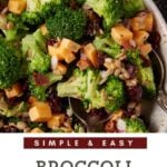 A serving bowl of broccoli salad.