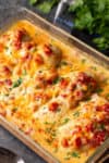 Queso Chicken