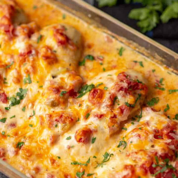 A baking dish of chicken covered in queso dip and tomatoes.