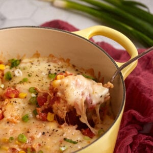 A spoon full of chicken and rice being lifted from a Dutch oven.
