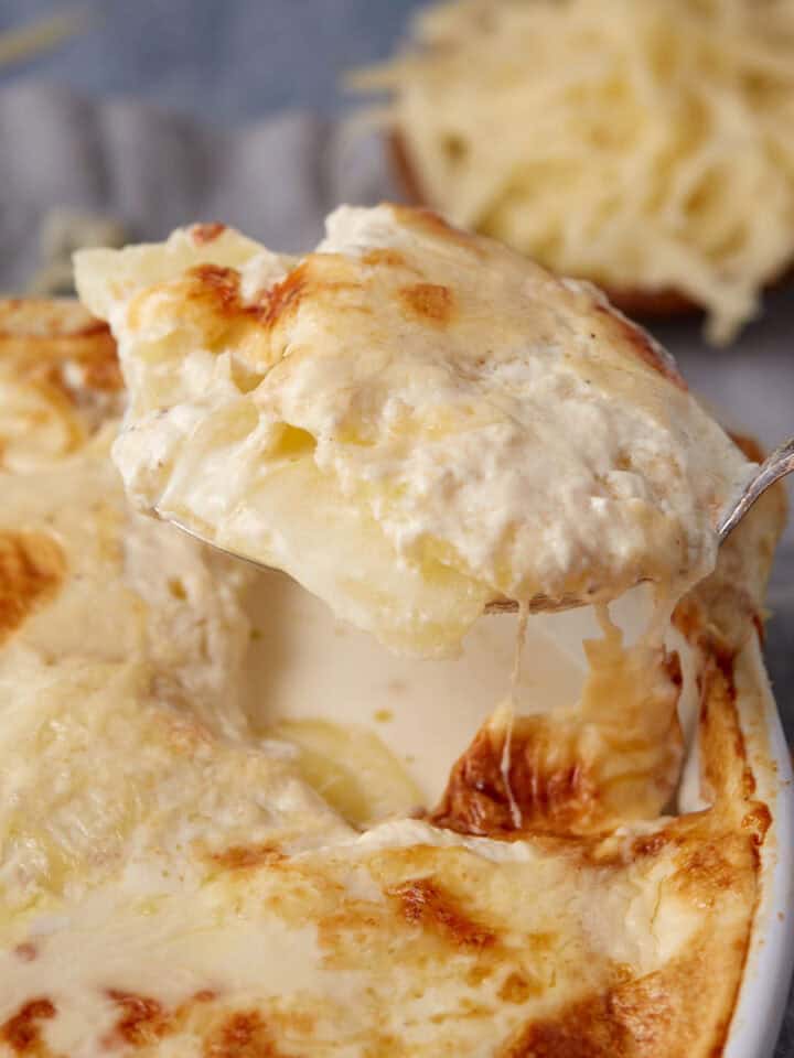 A spoon lifts a creamy, cheesy serving of scalloped potatoes with cheese from a baking dish, with melted cheese and sauce visible. A bowl of shredded cheese is blurred in the background.