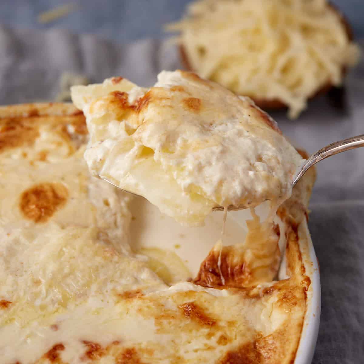 A spoon lifts a creamy, cheesy serving of scalloped potatoes with cheese from a baking dish, with melted cheese and sauce visible. A bowl of shredded cheese is blurred in the background.