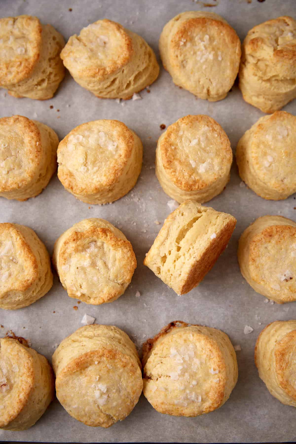 A batch of buttermilk biscuits on parchment paper.