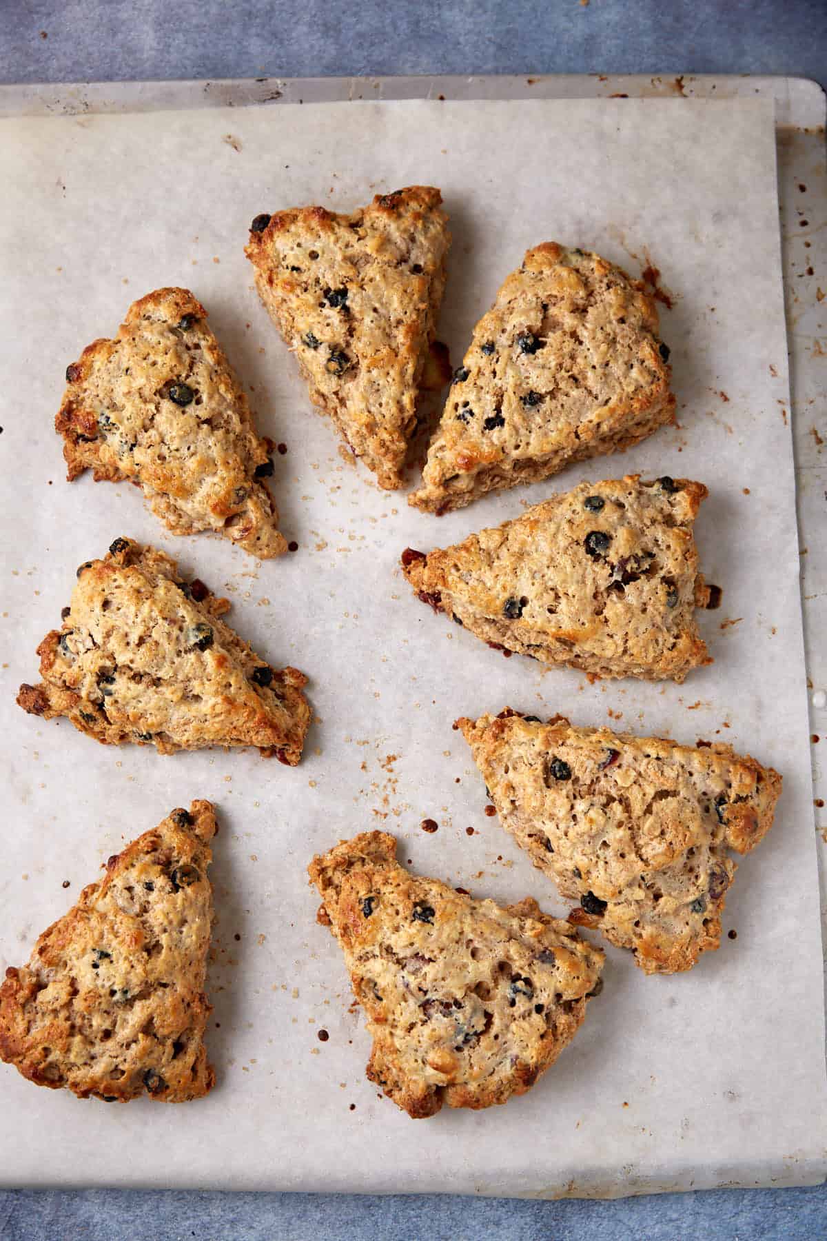 Oatmeal scones cut into triangles.