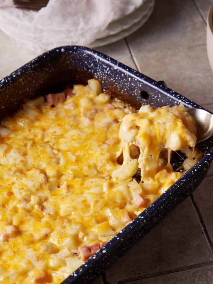 A spoon full of ham casserole.