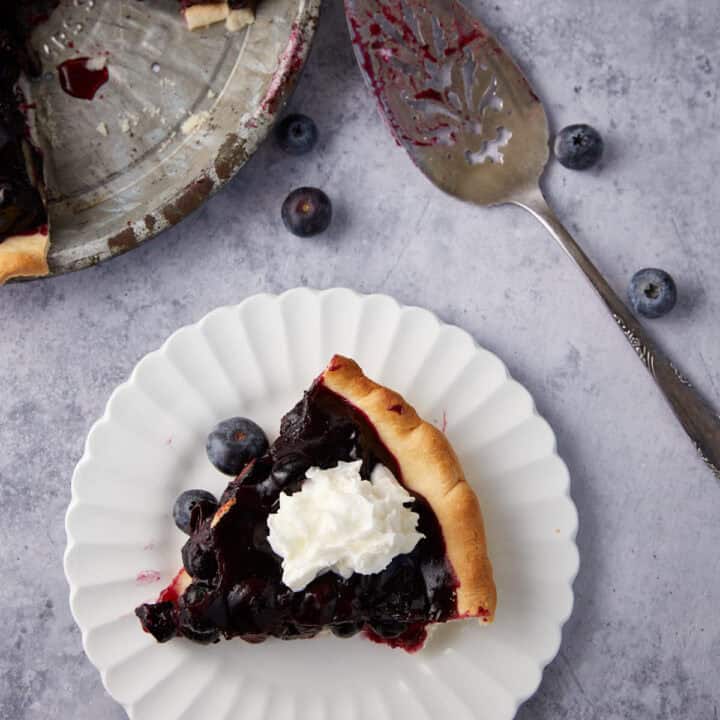 A slice of blueberry pie with whipped cream on a white plate.