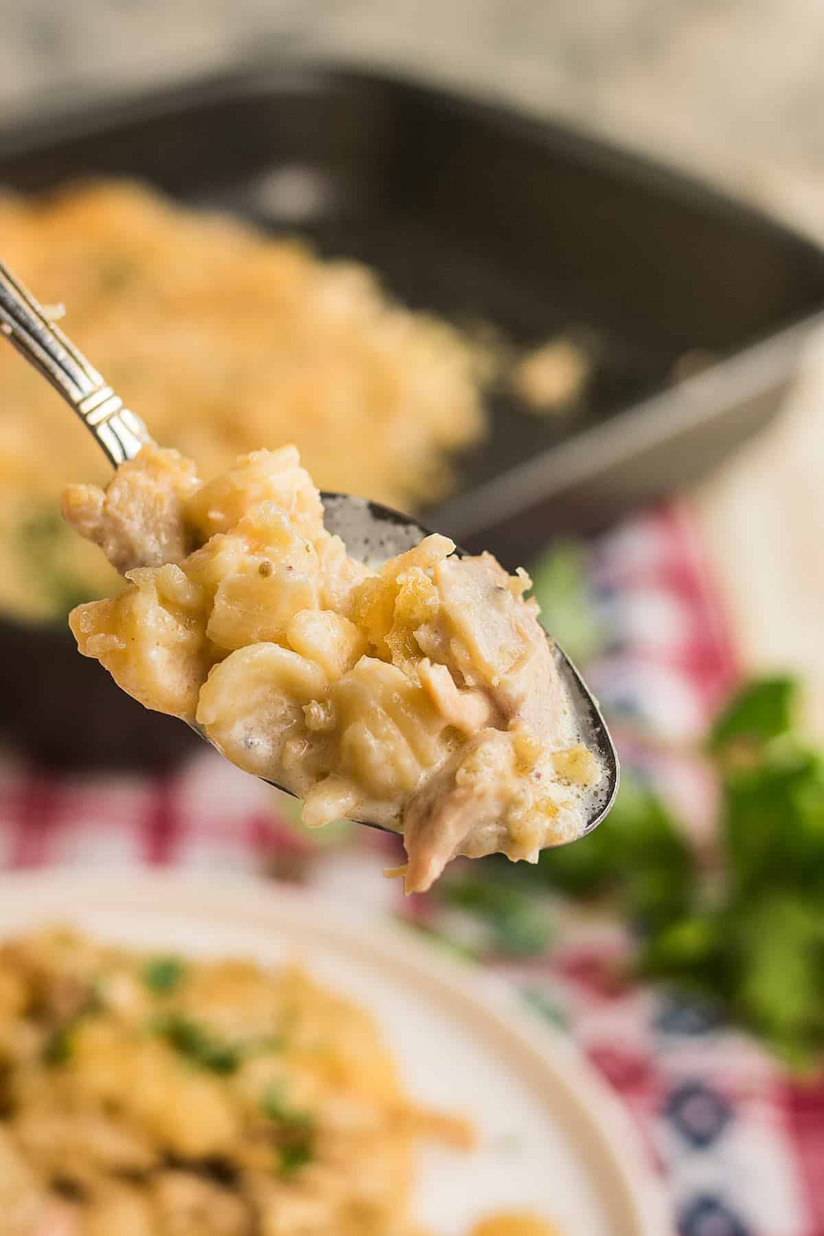 A close-up of a spoonful of creamy chicken noodle casserole with pasta, tender chicken, and mushrooms, held above a plate and a baking dish on a red and white checked cloth.