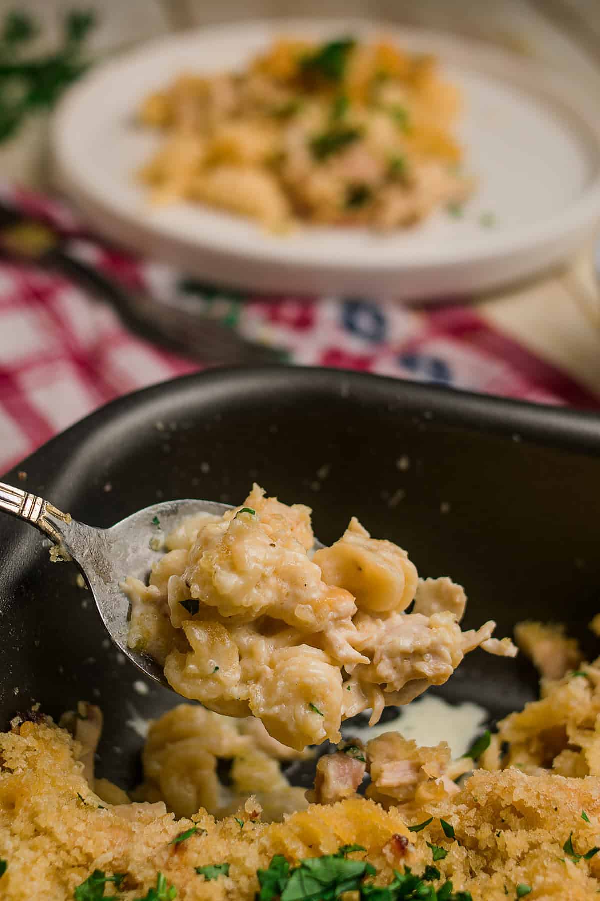 A close-up of a spoonful of creamy macaroni and cheese with breadcrumbs and herbs, held above a baking dish. Reminiscent of classic chicken noodle casserole, a serving is plated in the background on white china.