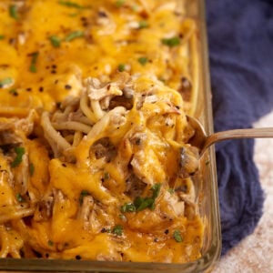 A spoon scooping out a serving of chicken tetrazzini.