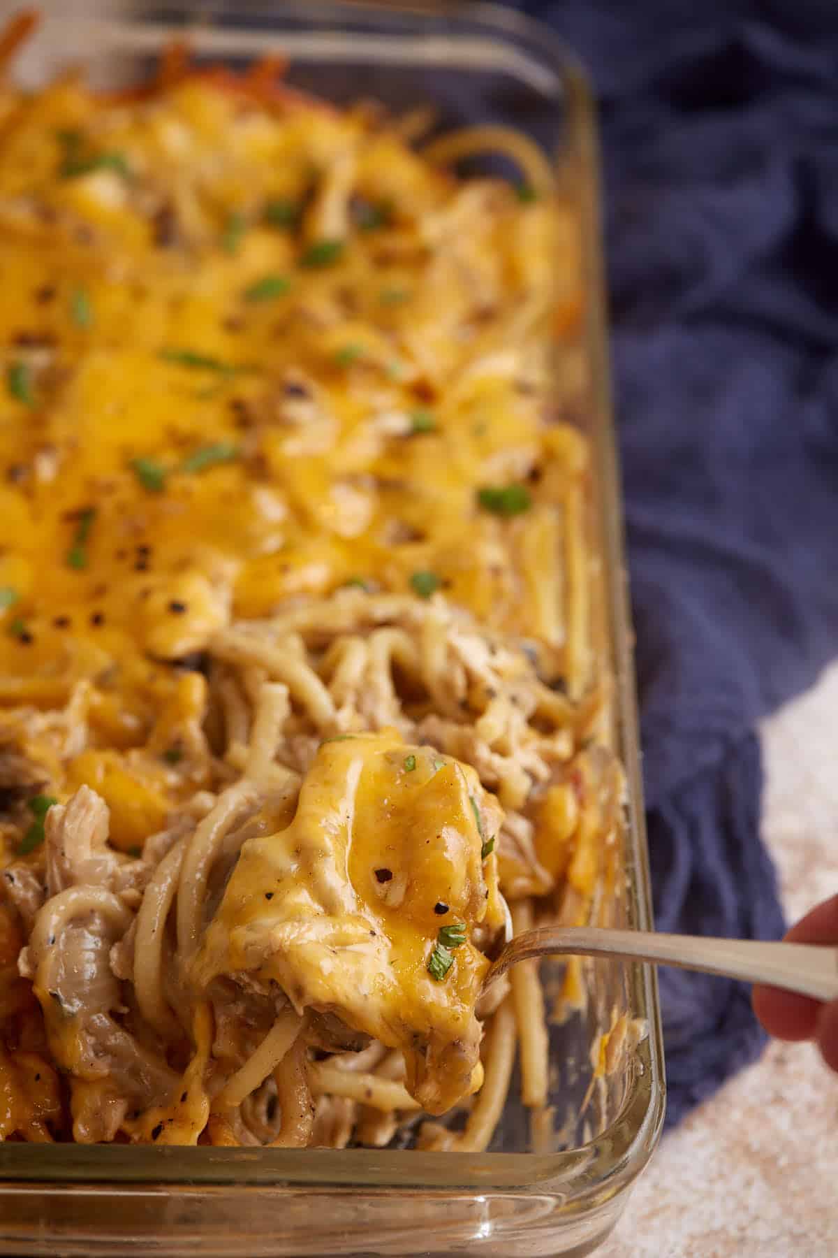 A baked cheesy chicken tetrazzini casserole.