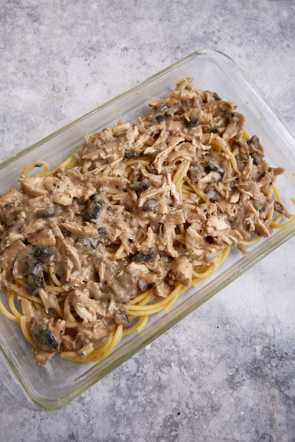 A layer of chicken sauce on top of spaghetti noodles.