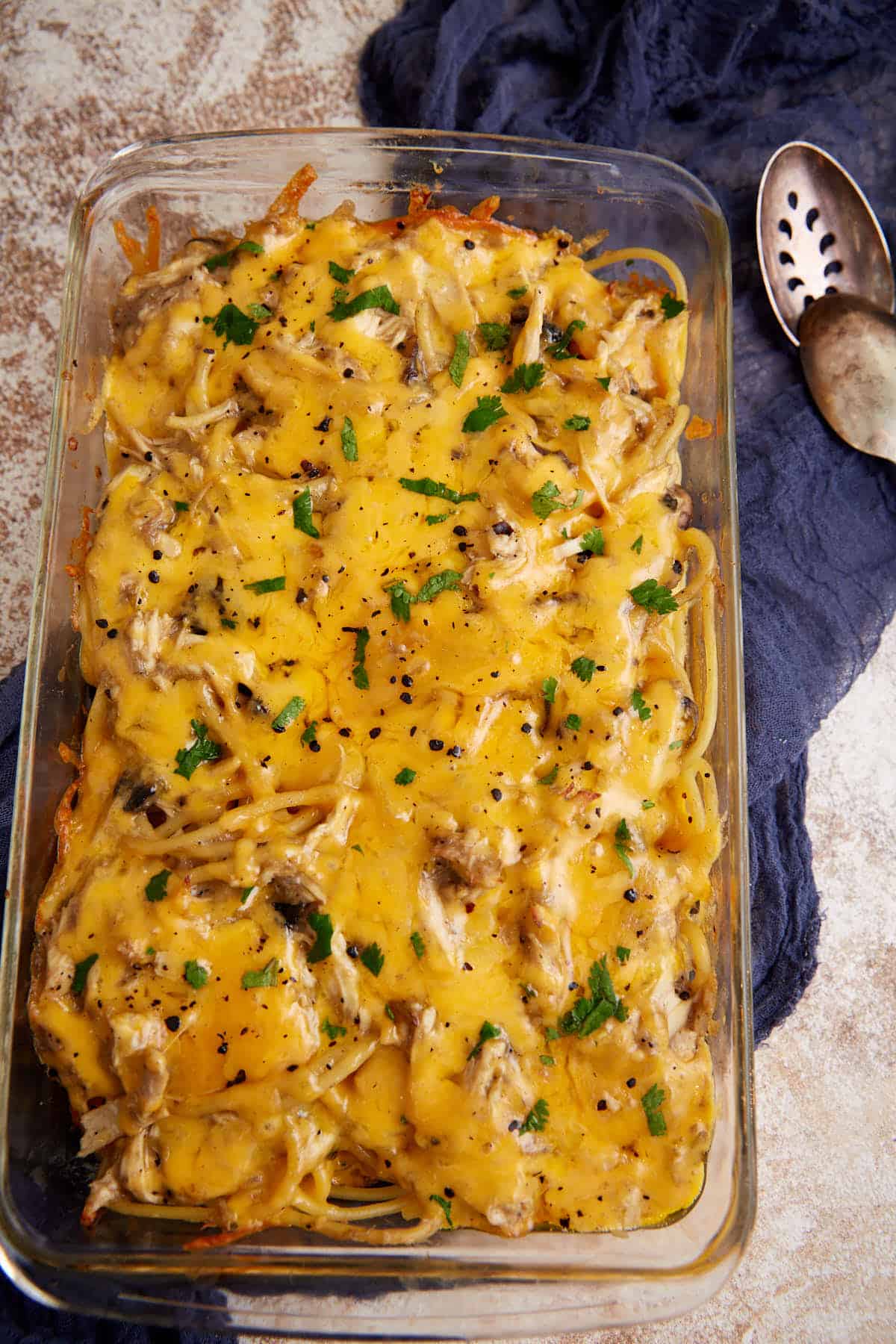 A baked chicken tetrazzini casserole covered in cheese.