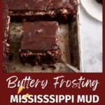 A slice of chocolate mud cake.