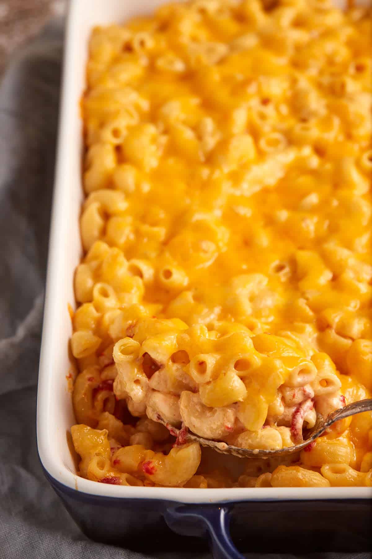 A spoon full of pimento mac and cheese.