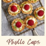 Mini Raspberry Tarts in phyllo cups.