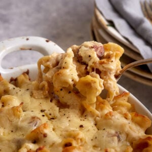 A spoonful of sausage pasta.