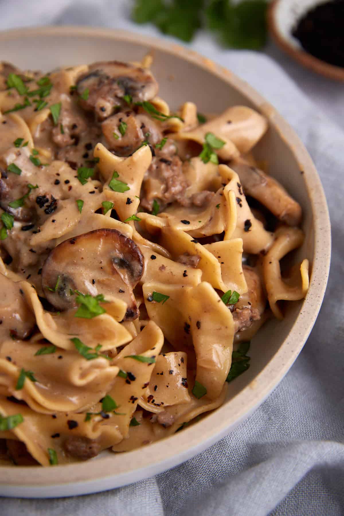 A serving of beef stroganoff with egg noodles.