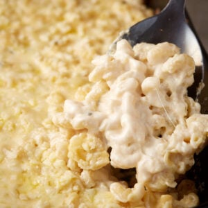 Scooping mac and cheese.