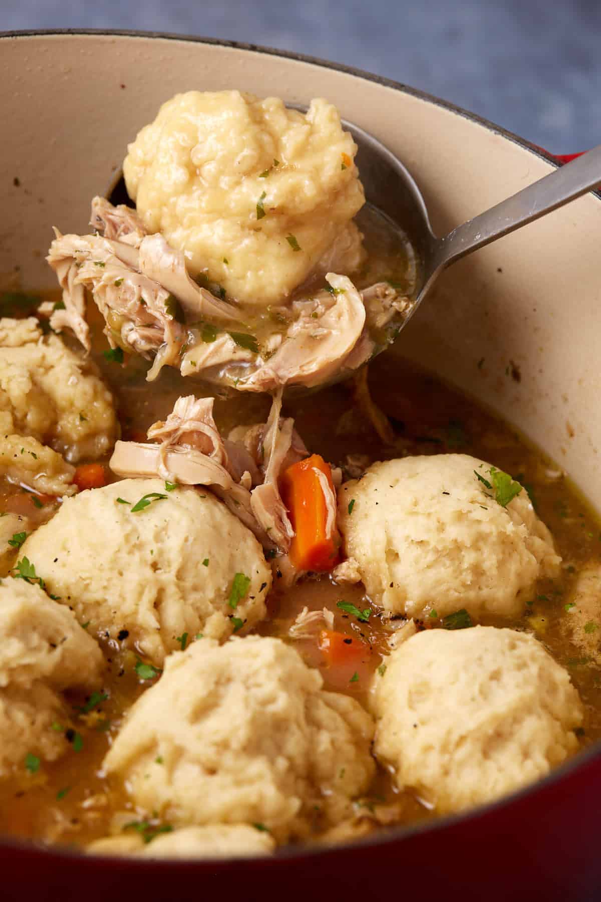 A pot of chicken and dumplings with chunks of chicken, carrots, and herbs in a flavorful broth. A ladle is lifting a dumpling and some chicken out of the pot, showcasing the hearty comfort food.