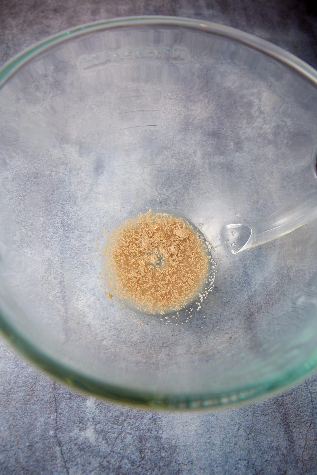Clear glass mixing bowl with light brown yeast and water mixture at the bottom, set on a gray countertop. The yeast mixture appears foamy, indicating that it is active and ready for use in baking. A clear plastic spatula rests on the side of the bowl.