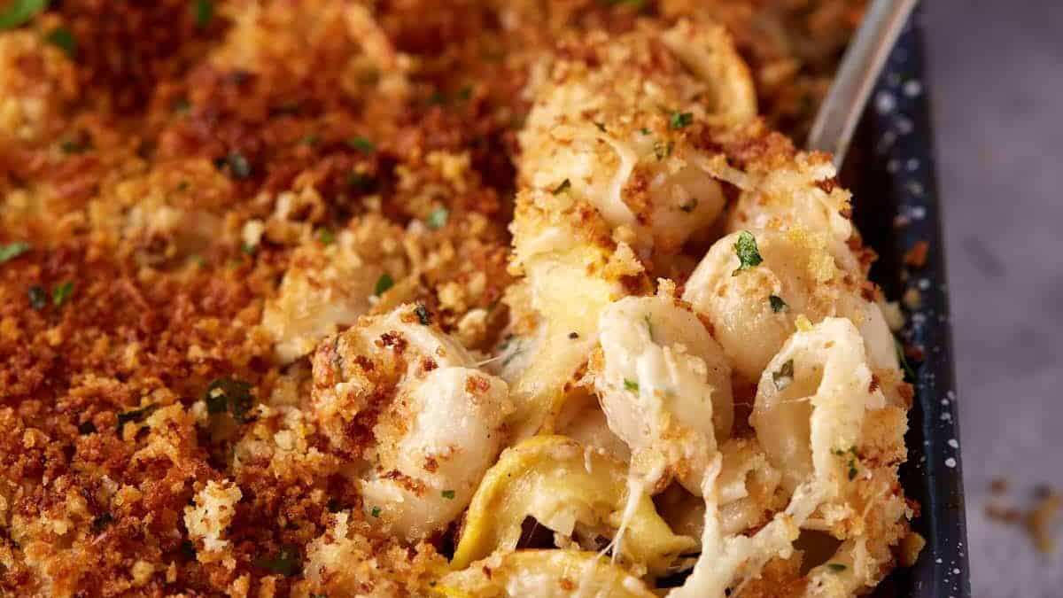 Creamy Pasta with Squash Casserole