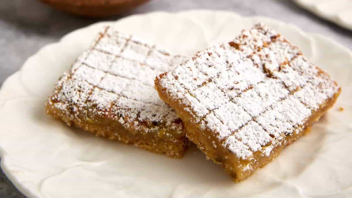 Two lemon bars on a plate.