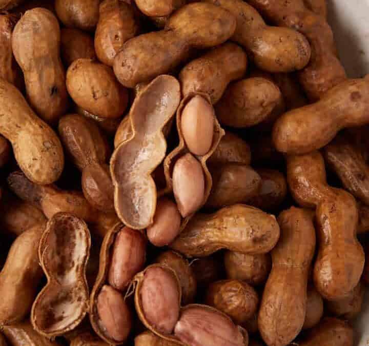 A bowl of boiled peanuts.