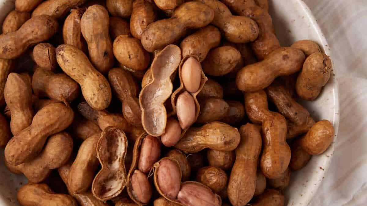 A bowl of boiled peanuts.