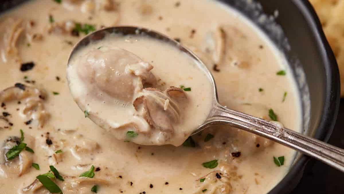 A spoon dipping into oyster stew.