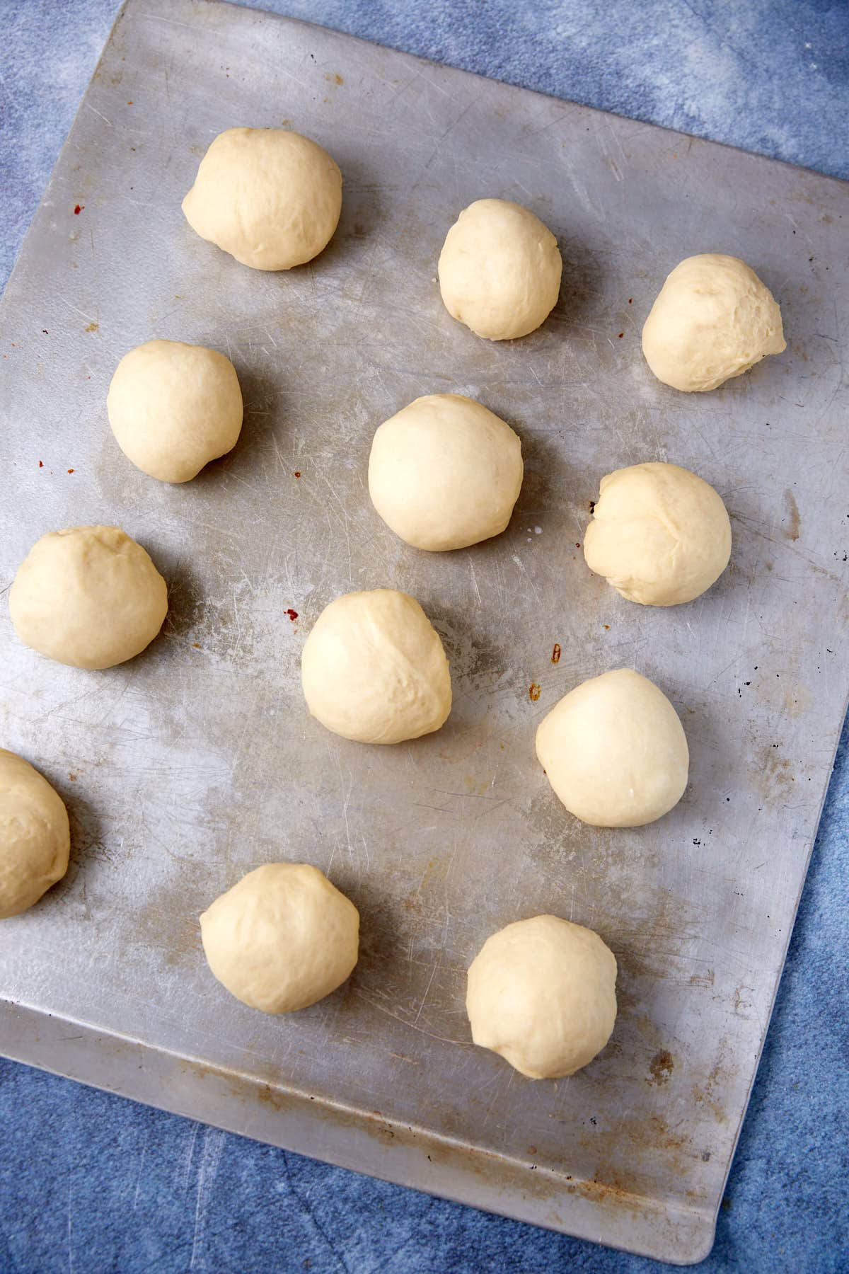 buttermilk yeast rolls on a baking sheet that haven't risen yet.