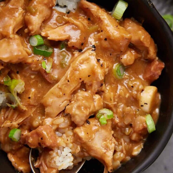 A plate of chicken gumbo over rice with a spoon.