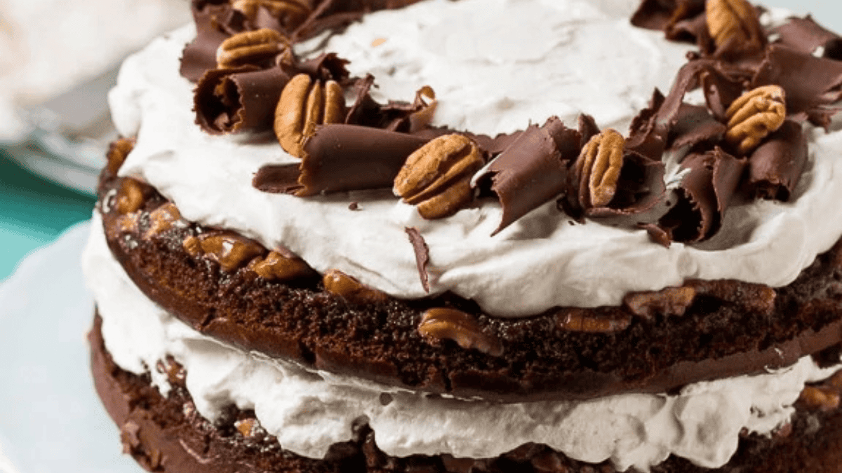 A two-layer chocolate cake filled and topped with whipped cream, pecan halves, and chocolate curls, displayed on a white plate.