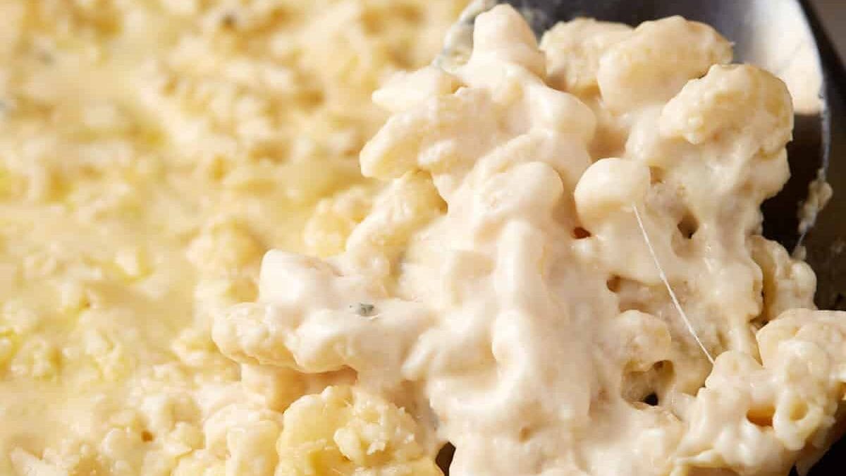 A spoonful of macaroni and cheese with evaporated milk.