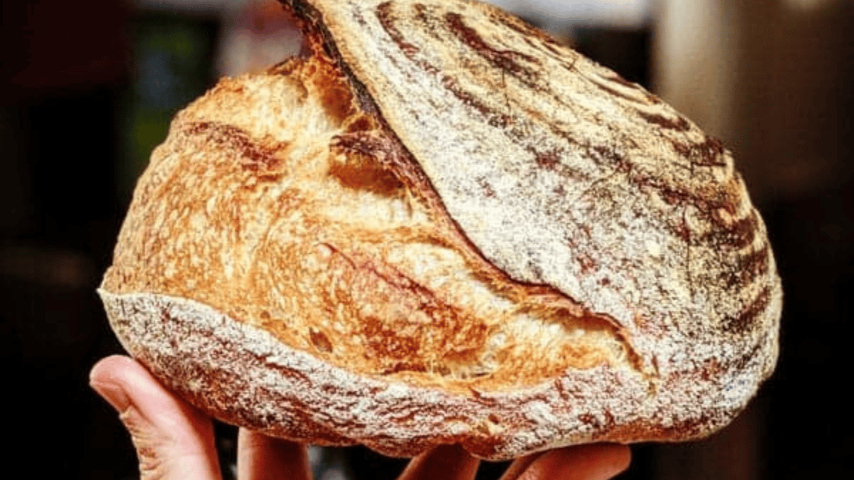 A hand holds up a round loaf of rustic, crusty sourdough bread with a golden-brown, textured crust and a deeply scored top.