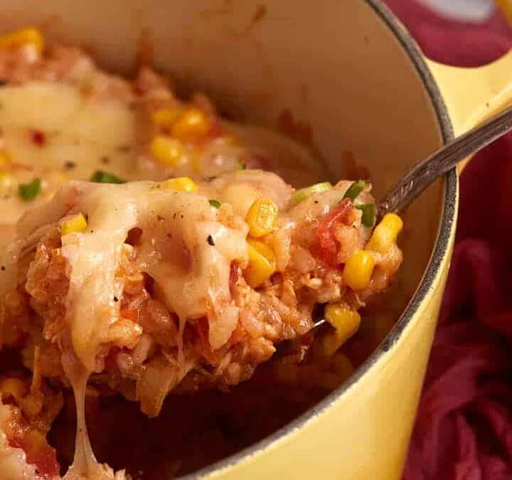 A spoon full of chicken and rice.