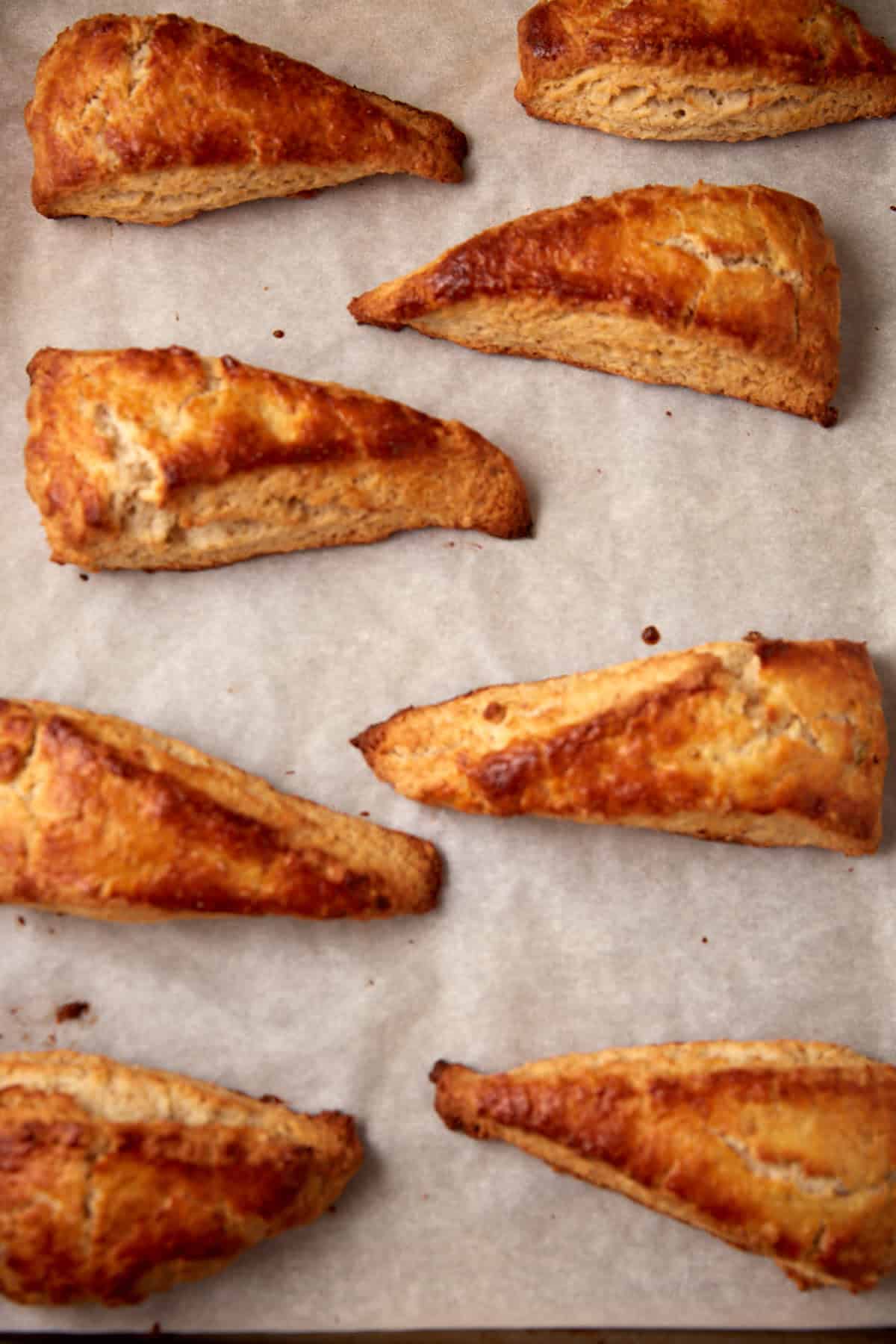 Eight golden-brown scones arranged on a parchment-lined baking sheet, spaced apart, and freshly baked with a flaky texture.